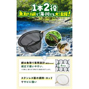 【むし岡だいき紹介】虫取り網 直径30cm/網...の詳細画像4
