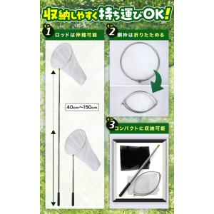 【むし岡だいき紹介】虫取り網 直径30cm/網...の詳細画像5
