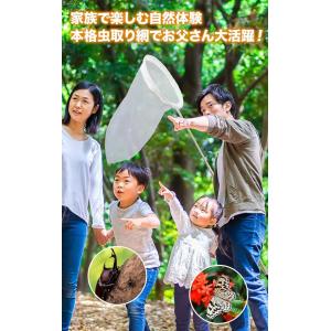 【ランキング1位★4.7超】虫取り網 大人用 ...の詳細画像2
