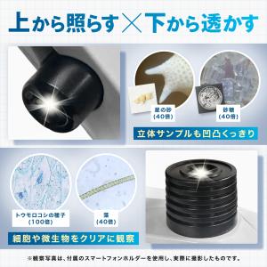 【スターターガイド付】単眼生物顕微鏡 40X-...の詳細画像4