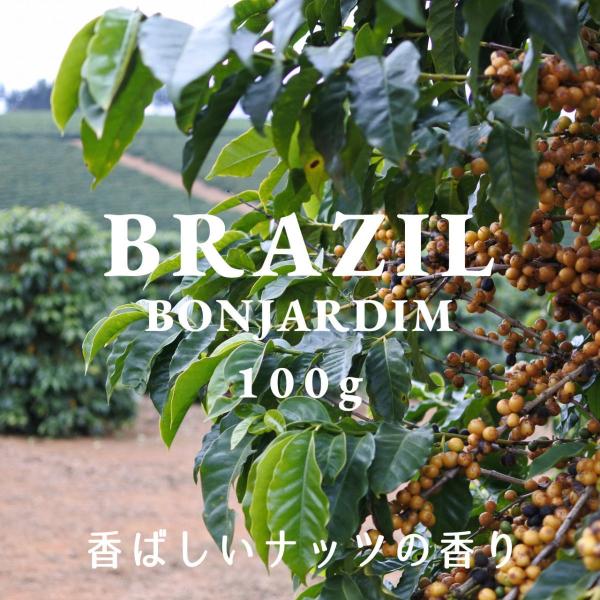 ブラジル コーヒー豆 ボンジャルジン農園 100g 自家焙煎 スペシャルティコーヒー 袋
