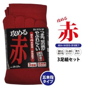 シンエイ産業 SS-315-3p 丈夫な靴下 攻める赤 五本指　3足組