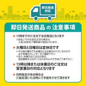 エヴァ 丸五 安全靴 安全スニーカー メンズ ...の詳細画像2