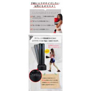 ファイティングバッグ スタンド型サンドバッグ ...の詳細画像3