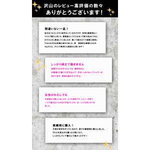 ファイティングバッグ スタンド型サンドバッグ ...の詳細画像4