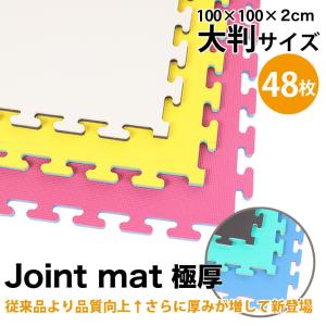 ジョイントマットDX 極厚 48枚セット 100cm×100cm 2cm リバーシブル リングフィット 大判 防音 トレーニング ファイティングロード｜fightingroad