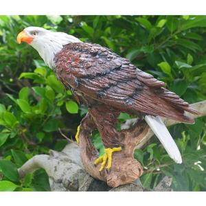 アメリカンイーグル オブジェ・置物 高さ26cm □ 鷲 置物 猛禽類最強