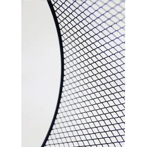 回し車 25cm メダル 大直径 青 ハムスタ...の詳細画像5