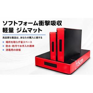 バードロップパッド ウエイトリフティング 衝撃...の詳細画像4