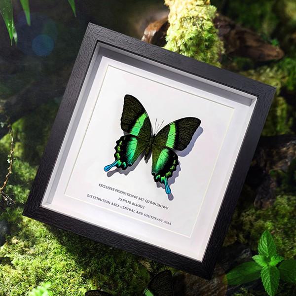 ulysses butterfly フォトフレーム 立体額 ボックスフレーム 中空 クリアフレーム ...