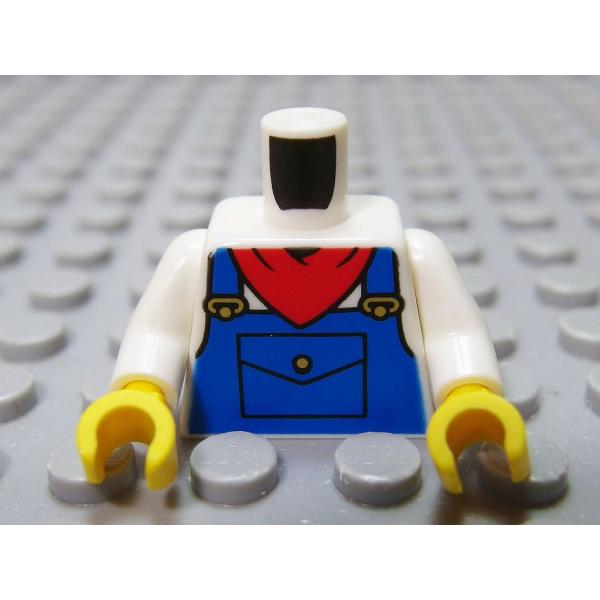★LEGO★ミニフィグトルソー★(973pb5497c01)