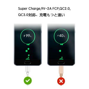 Type-C充電ケーブル typec USBケ...の詳細画像2