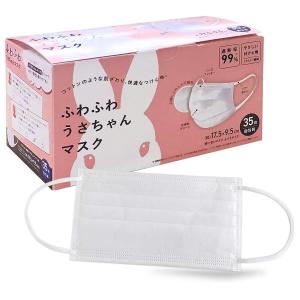 ピエラス（Pieras） 空間除菌清浄機 mediAir メディエアー 専用 交換用