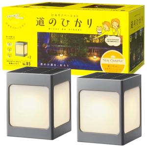 タカショー 道のひかり ソーラーライト ひかりノベーション SUNCHARGE 電球色 2個セット LGS-LH01P (08)