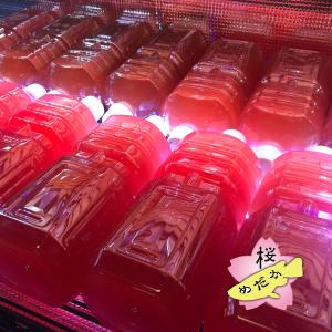 桜めだか培養 PSB 光合成細菌 1Lボトル ...の詳細画像2