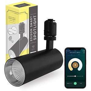 エジソンスマート スポットライト ダクトレール用 ブラック LED一体型