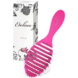 Etoluce BeautyDryドライブラシ ヘアブラシ くし 頭皮マッサージ ヘアドライ専用 濡れ