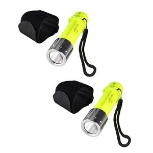 Felimoa ダイビングライト ダイビング用品 ライト 防水 電池式 水中ライト 2点セット