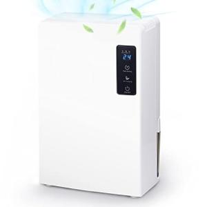 WHESWELL 除湿機 小型 衣類乾燥除湿機 空気清浄機 衣類乾燥除湿機 部屋干し 除湿乾燥機 カビ防止 軽量 省エネ 省