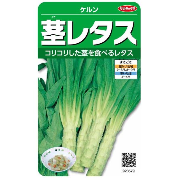 サカタのタネ 実咲野菜3579 茎レタス ケルン 00923579
