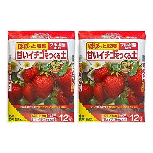 花ごころ イチゴの土12L×2袋