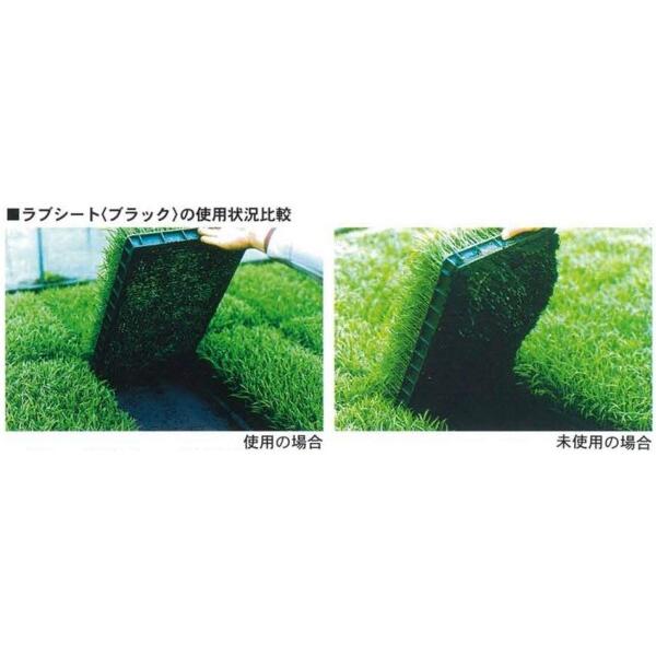 ユニチカ 農業用不織布 ラブシートブラック 水稲育苗用 0.13mm×105cm×50m 20307...