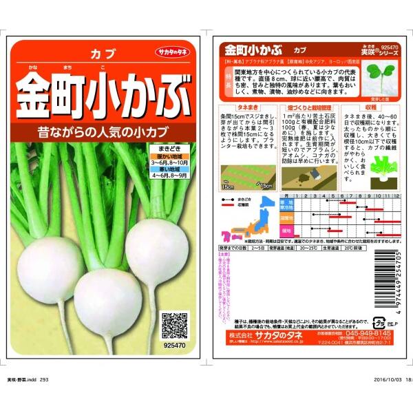 サカタのタネ 実咲野菜5470 金町小かぶ カブ