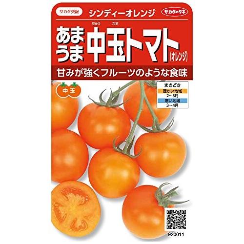 サカタのタネ 実咲野菜0011 あまうま中玉トマト(オレンジ) シンディーオレンジ 00920011