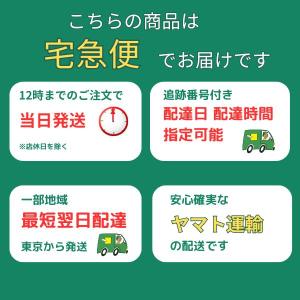 社交ダンス 接着剤 E6000 1oz チップ...の詳細画像5