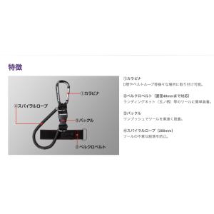 GoldenMean ゴールデンミーン GM ...の詳細画像1