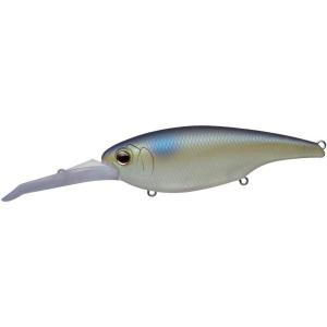 EVERGREEN EG DDエックスオーバーの高価買取価格