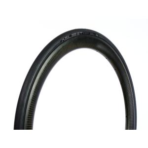 2本セット 未使用 700×25 AG-B アジリスト Panaracer 自転車 タイヤ パナレーサー アジリスト チューブラー