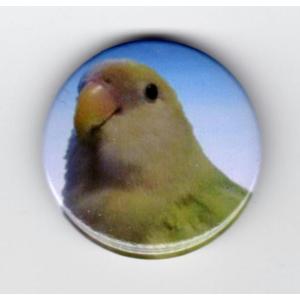 缶バッジ(コザクラインコ)の商品画像