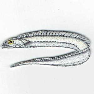 刺繍アイロンワッペン魚（イシダイ/石鯛） : FIND Corp. - 通販