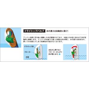 シュノーケルセット 女性 AQA ベガライト&...の詳細画像3
