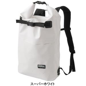 即日あり 2026 GULL ガル ウォーター...の詳細画像3