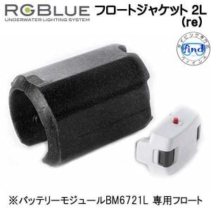 RGBlue アールジーブルー ツインライト 【ライトモジュール RGBlue アールジーブルー ツインライト 【ライトモジュール