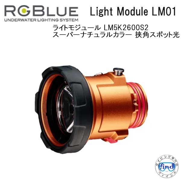 新商品 RGBlue アールジーブルー ライトモジュール RGBS-LM01 S5 交換用ライトモジ...