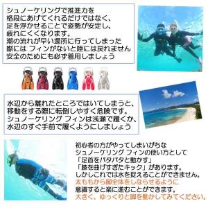 即日 REEFTOURER RF0106 フィ...の詳細画像4
