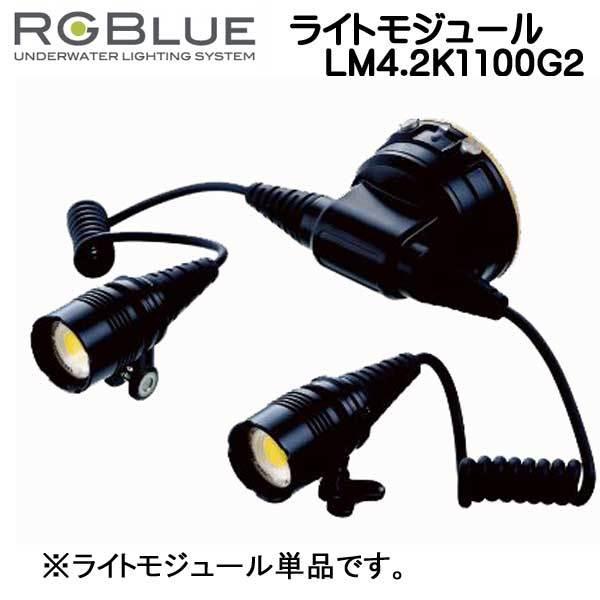 RGBlue ツインライト 【ライトモジュール LM4.2K1100G2 】 プレミアムカラー 高彩...