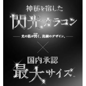 ラヴェール 1箱10枚 (メール便送料無料) ...の詳細画像2