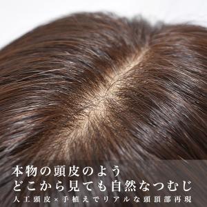 アクアドール 総手植え人毛MIX6分ウィッグ ...の詳細画像1