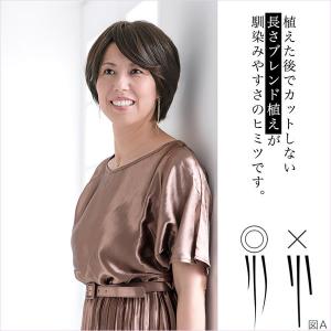 アクアドール 総手植え人毛MIX6分ウィッグ ...の詳細画像3