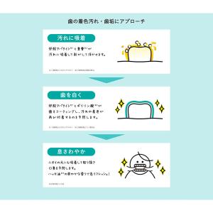 アパライトホワイトニングパウダー 26g (定...の詳細画像4
