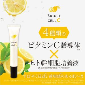 Amway（アムウェイ） 【送料無料】アムウェイ アーティストリー