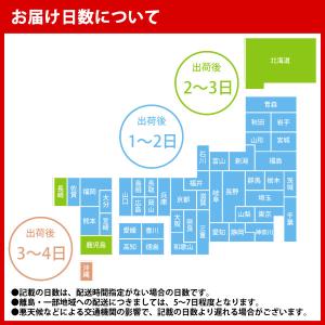 コカコーラ社 小型ペット×48本(24本×2ケ...の詳細画像3