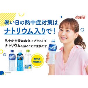 コカコーラ社 小型ペット×48本(24本×2ケ...の詳細画像5