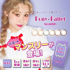 カラコン 度なしオクヒラテツコ ぺこ ポニーパレット 定番キャンバス 1箱2枚 マンスリー メール便送料無料