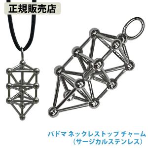 正規販売店 ミスマルノタマ ネックレストップ チャーム シルバー