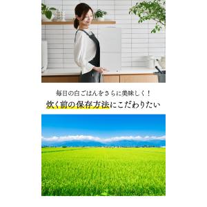 正規販売店/メーカー直送 ライスフリッジ クラ...の詳細画像4